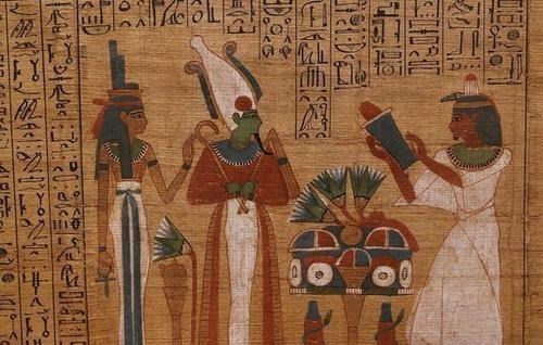  涨“姿势”了！生物课本上不会出现的，12个关于动物的小秘密