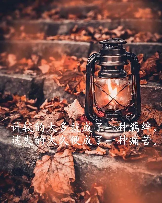 幕池文案馆|写到心窝里的经典情感语录，字字透彻，句句触动心灵！