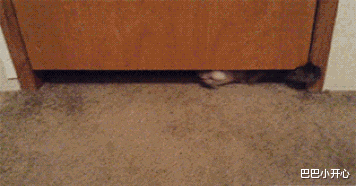 中小学|“大家口中的烂高中到底有差？”网友回复真是让我明白了