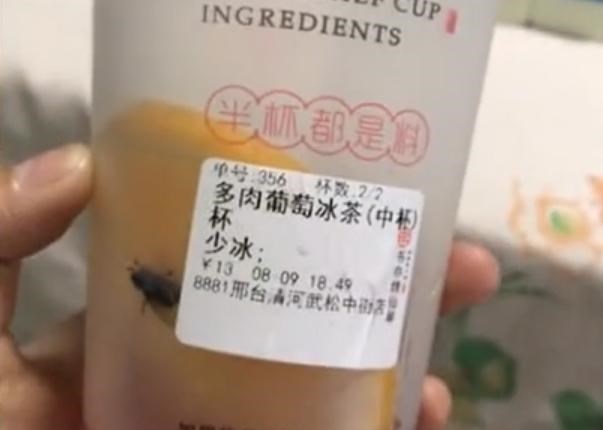 悦姐ya|河北一女子点多肉果茶，一只飞虫贴在杯壁，网友：“多肉”没毛病