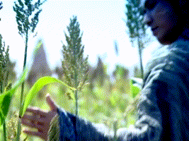 反派|越是端正的剑眉星目，演起反派男配来，越是让人上头