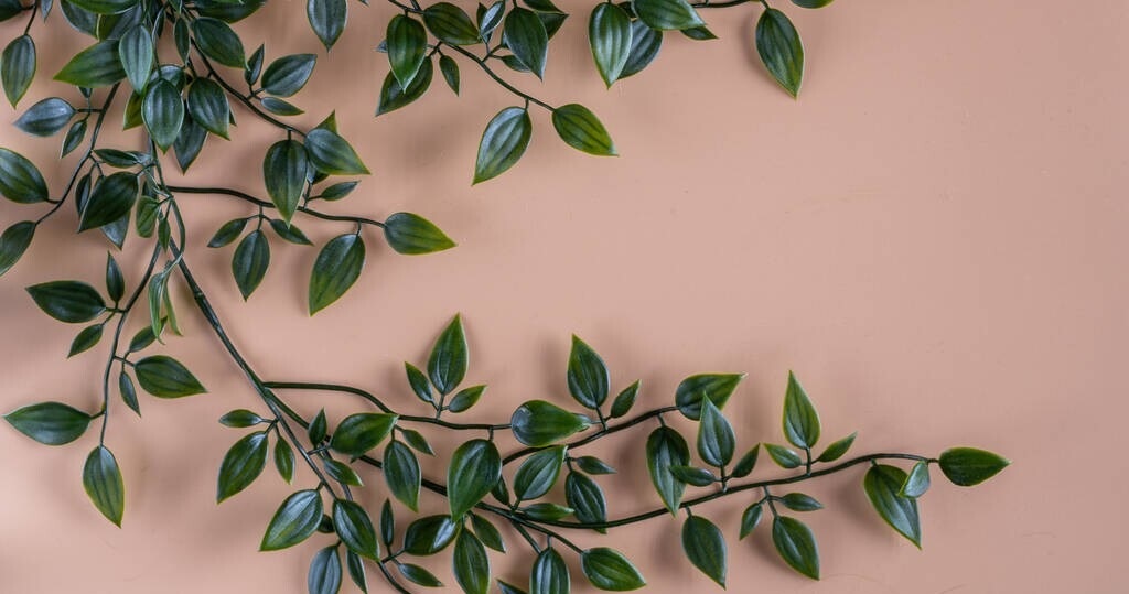 运动|百病皆生于“气”，中医里讲的“气”到底是什么？内附调理药方