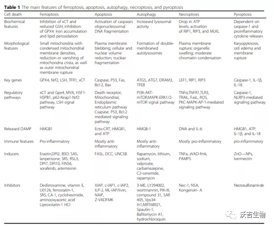 霍金 沃吉百科   什么是铁死亡？铁死亡的发生机制和研究思路是？