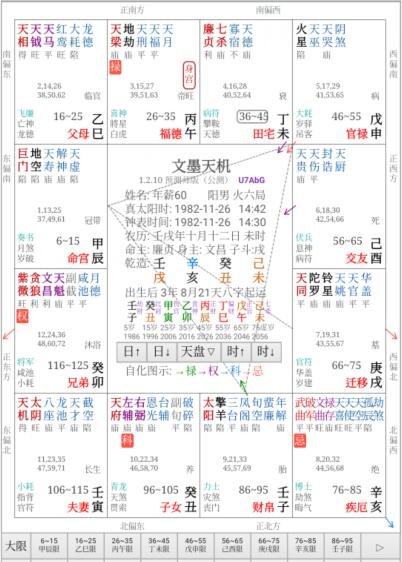 玄元紫微斗数|双本学历，任法律总监的案例-紫微斗数浅析