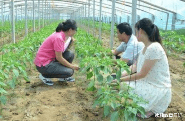 三支一扶|2021三支一扶面向全国招生,大专以上学历均可报考,考上有望转编