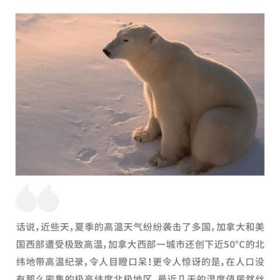 科学家 北极出现48度的高温，动物面临危险，一切难以回头