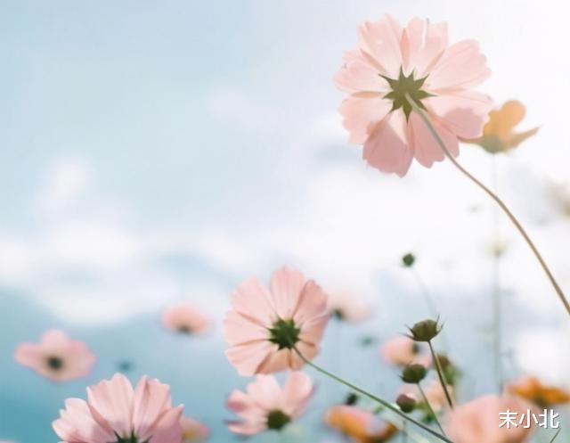 末小北|人世间最好的爱情：你走，我愿你安好；你留，我陪你到老