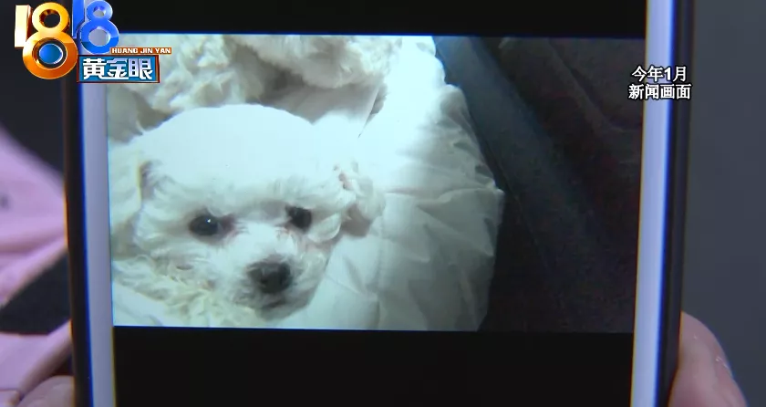 杭州 消费者怀疑买到“星期猫”，找上门发现是“老朋友”了