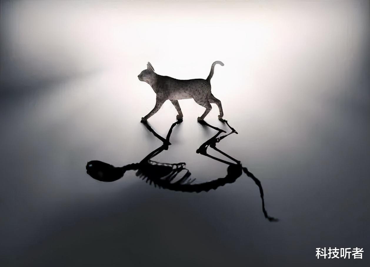 科学家 “陶乐德事件”至今难解，科学家：这个世界太多秘密