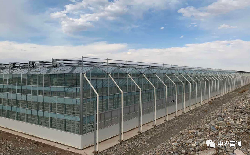 中农富通长三角规划所 2021年现代农业产业园创建申报即将开始，您准备好了吗？