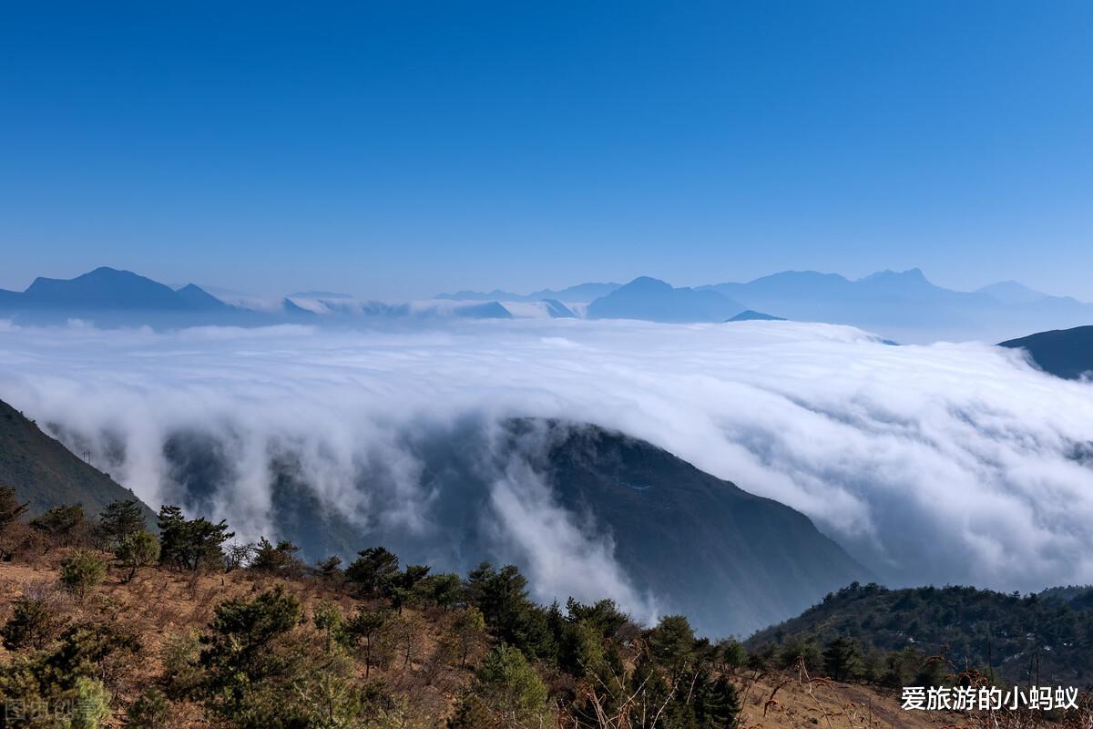 三明|11月自驾去露营哪里合适呢？这个地方值得参考哦