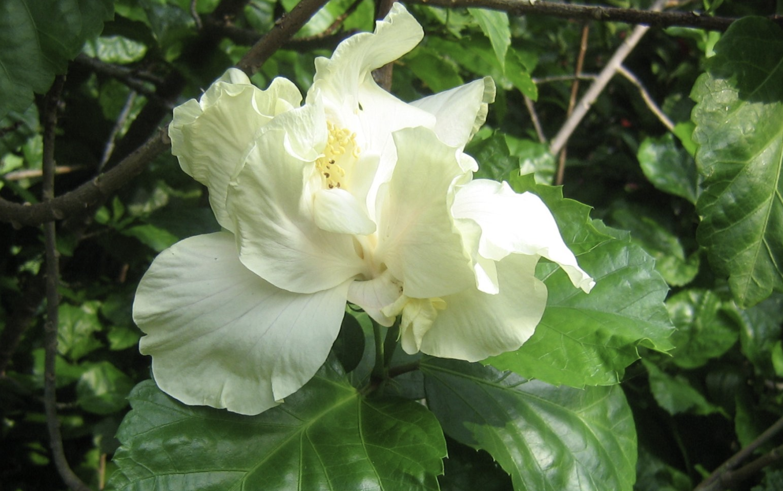 生肖夜读|8月,独占鳌头,存款飙升,还清外债,3生肖睡到自然醒,喜笑颜开