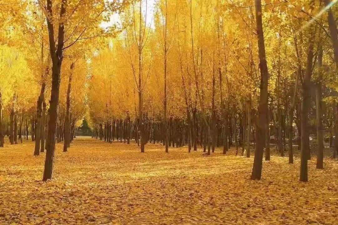 郑州|漫游燕京理工学院