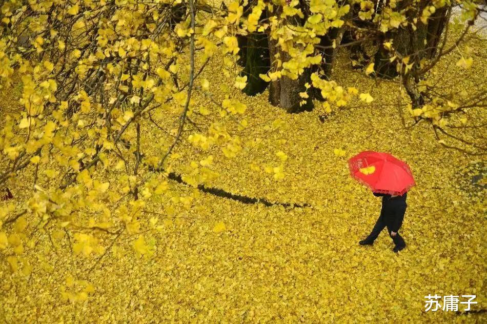 苏庸子 心理学：人与人在争吵中可以暴露性格，看透内心想法