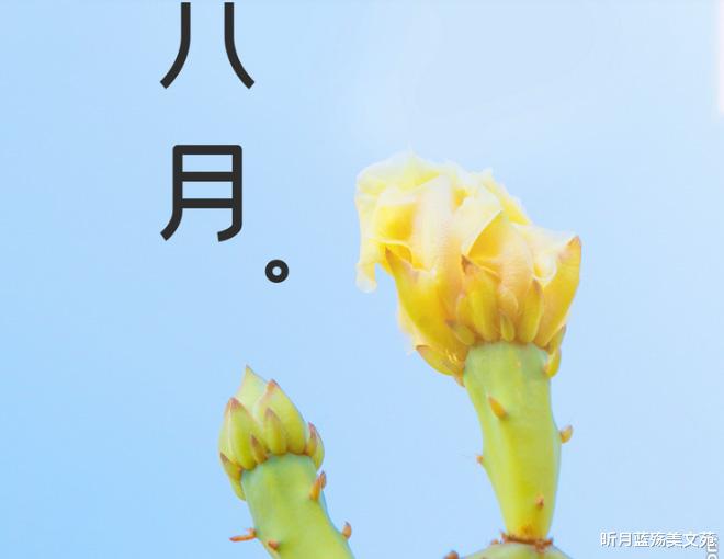 昕月蓝殇美文苑|八月,愿你遇见美好,拥有幸福