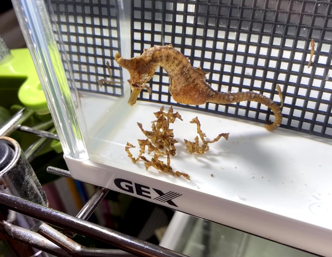 30张“冷知识”图片,看完大开眼界