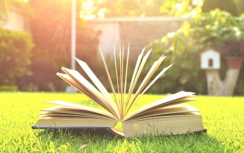 染夏英子|越不可努力者，便越自怜，这些可以让人生增值的事，可以一看