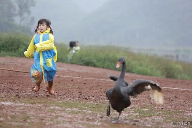小小志|荣梓杉个子直奔190，14岁石头和郭涛一样高？身高长腿拿捏住了