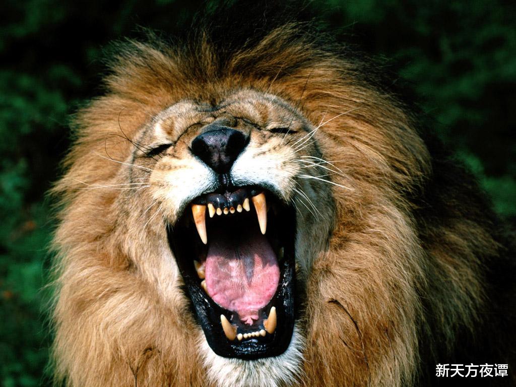 科学家 对人类生命威胁最大的10种动物，狗狗排第3位