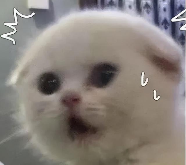 小红书 “本人不才，刚被骗完。”