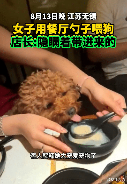 数字人民币 江苏女子在饭店吃饭刻意隐瞒携带宠物，等服务员离开就用餐勺喂食