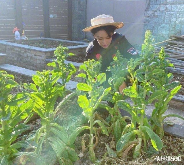 肖战|笑不活了！张馨予海边拍杂志遇强风，伞被吹变形两个人才能握住