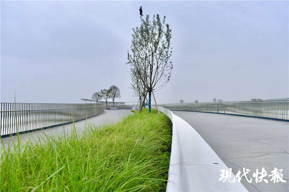 现代快报 犇跑吧长三角丨打卡新晋网红桥：哇，我左脚在上海，右脚在江苏