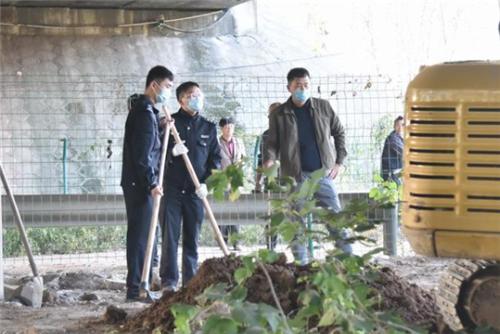 彩礼 江西一桩荒唐的“农夫与蛇”现实案