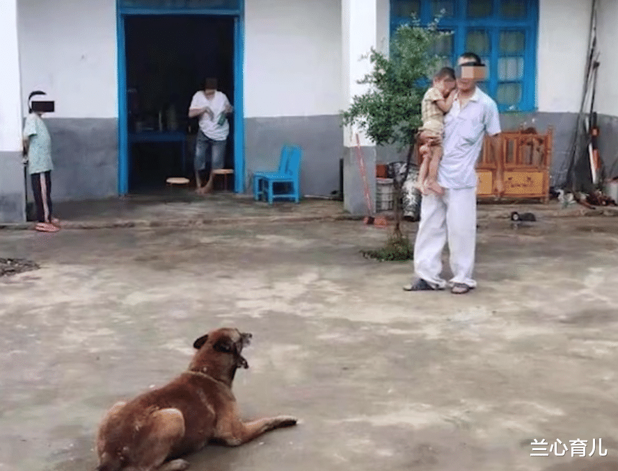 兰心育儿|男子身患梅毒，仍与“弱智女子”生9娃，评论区留言很中肯