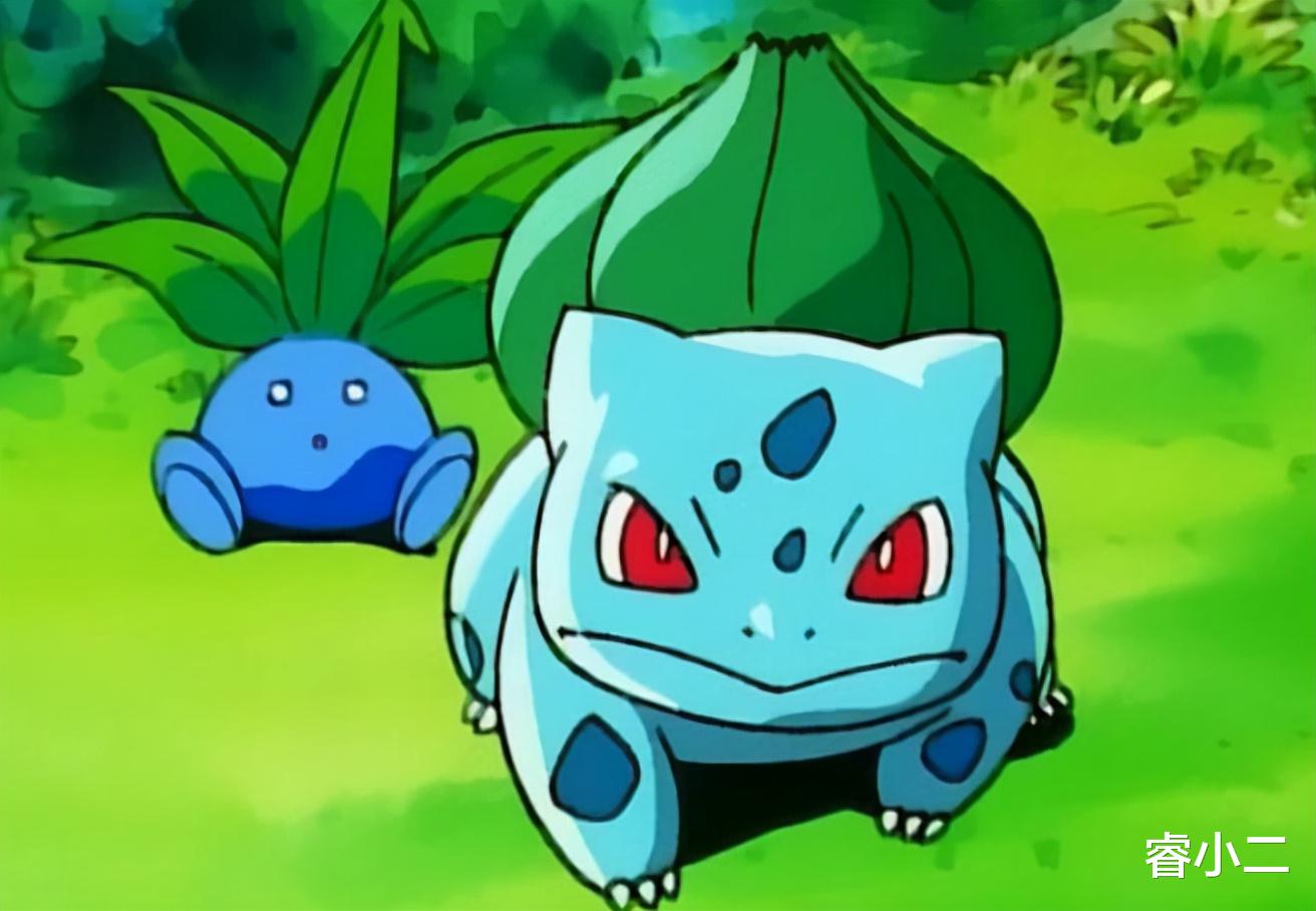 美丽|《宝可梦》奇闻趣事：骷髅队干部布尔美丽，第一位双属性御三家！