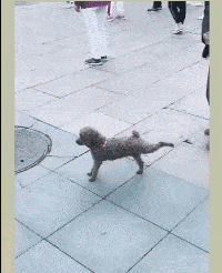 墓室|“我只出差了一周，家里装的新房子就成这样了...”怕不是主墓室吧？