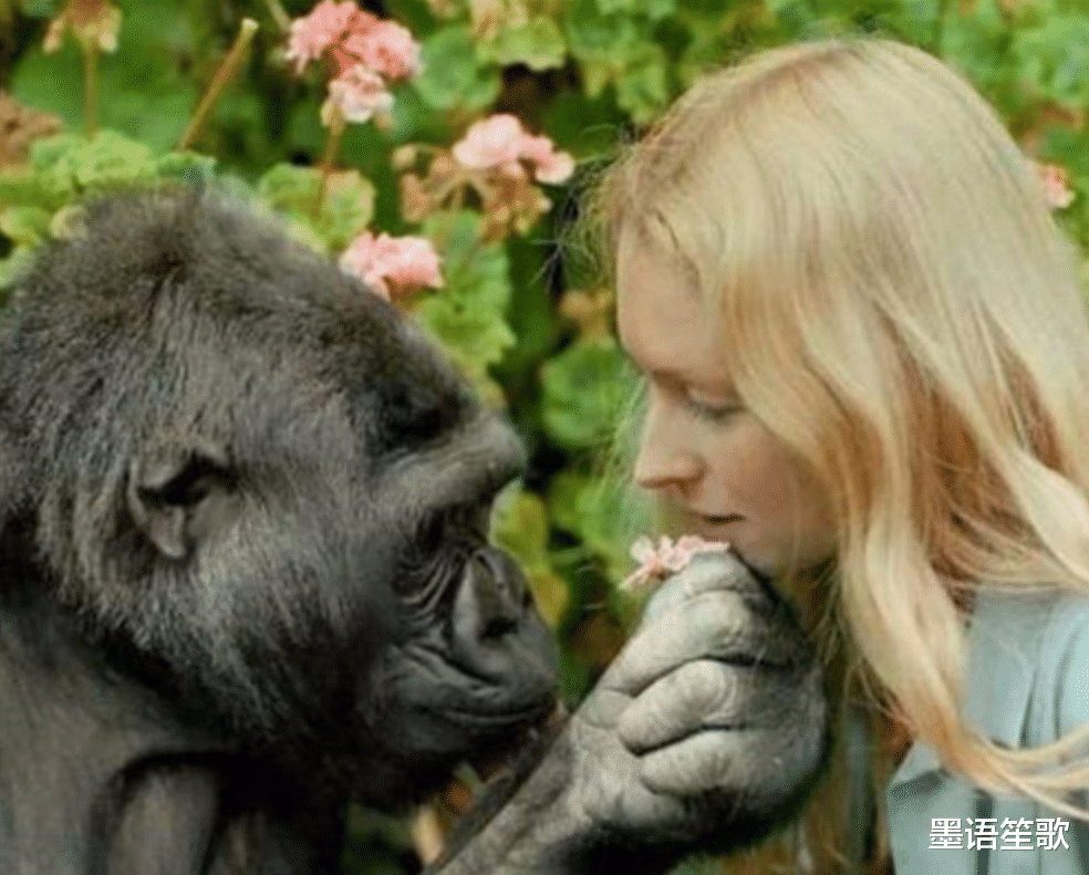 航天员 苏联开展“人猿杂交”实验，5个女子参加，最后结果如何？