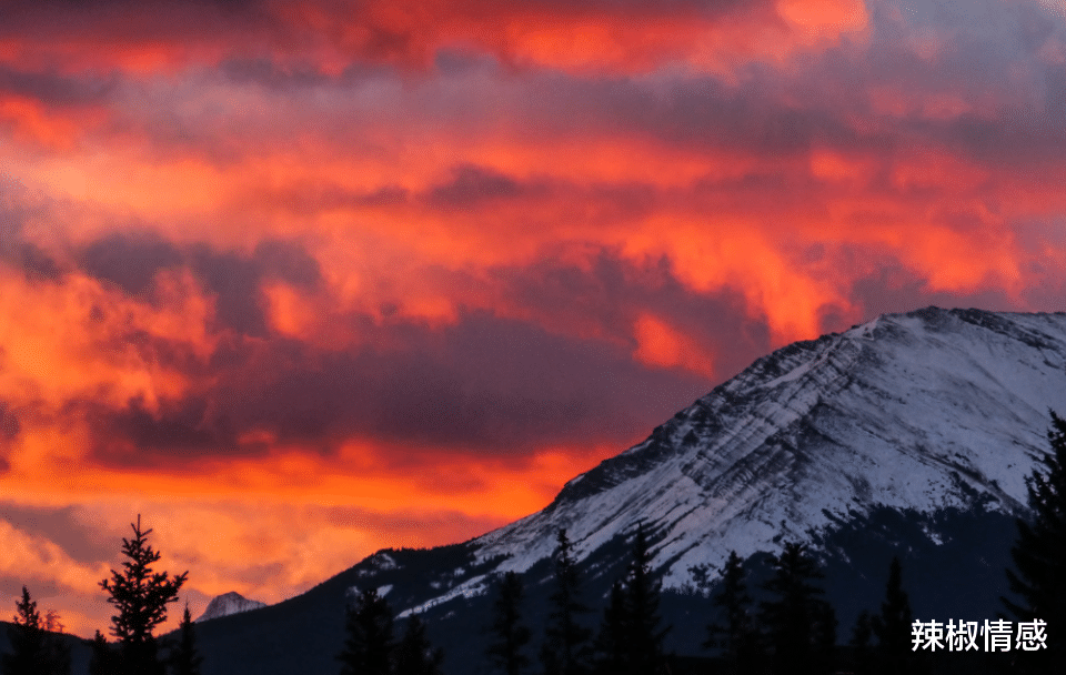 辣椒情感|为什么说很难得到双子座的爱？