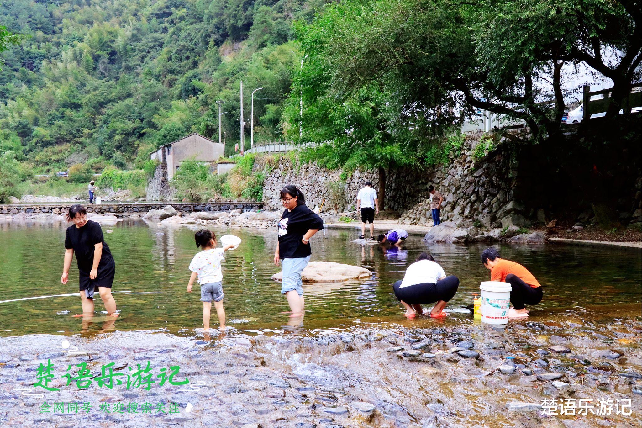 嵩山|宁波“小三峡”的溪畔有一个古村，溪水清碧古树拂岸，真的太美了