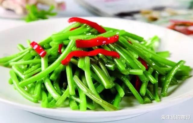 爱生活的陶哥|入秋后，大鱼大肉靠边站，多吃“秋天5宝”，应季而食安稳过秋