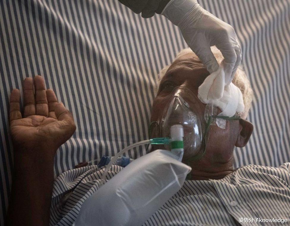印度爆發毛黴菌病，超20000人感染，致死率達50%，這是什麼病？-圖4
