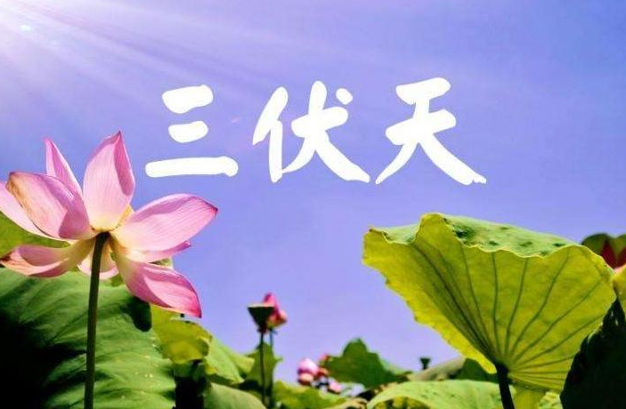 黄瓜|三伏天吃一口等于8斤黄瓜,乳腺外科医生:乳腺结节患者不妨多吃