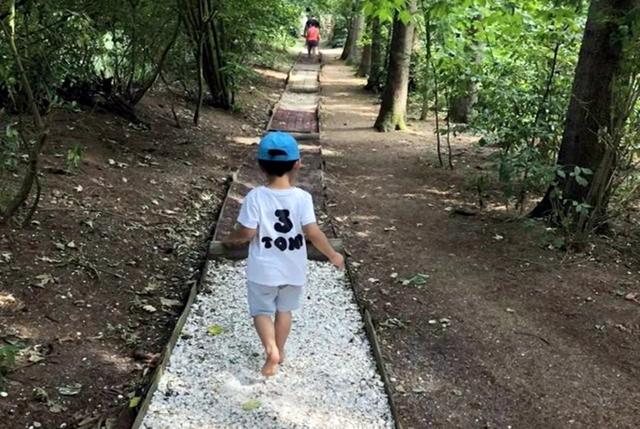 全能辣妈plus|日本“光脚教育”惹争议：赤足真有那么神奇吗？10年后差距明显