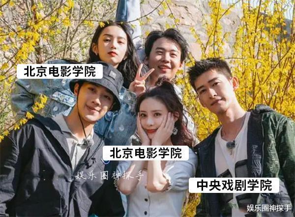 苏芒|《桃花坞》成员学历曝光，粉丝：最后一位真的牛！