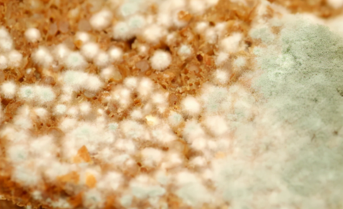 |多所医院联合呼吁：停止使用“1电饭煲”，或是肝癌“催化剂”