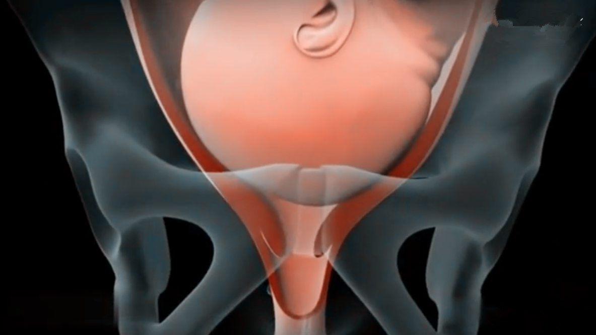 母婴之道|有些胎儿快速“卸货”，有些却十分磨人，影响产程快慢的原因是啥