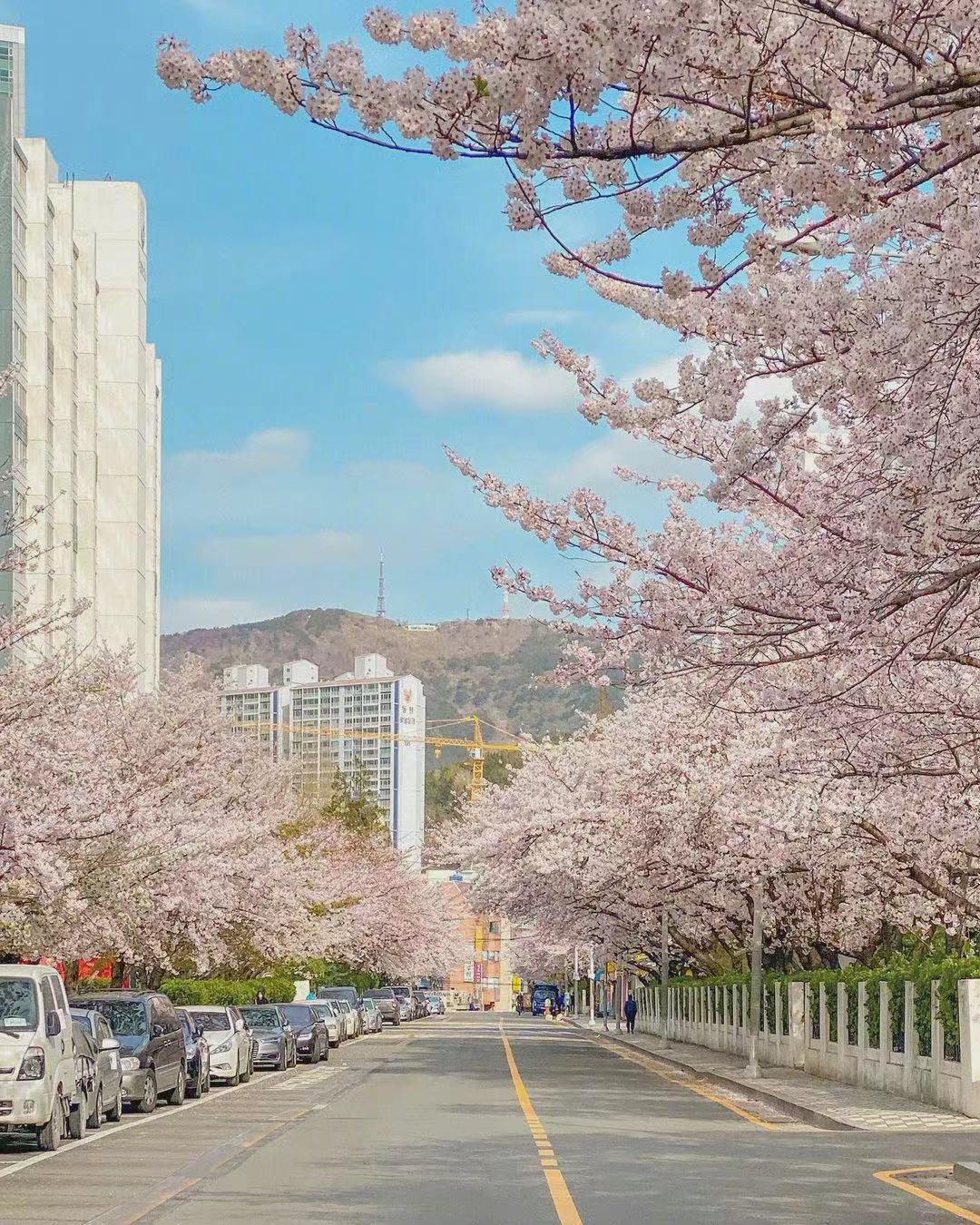 星座性格|职场中，总是不苟言笑的3个星座，对待工作严肃认真