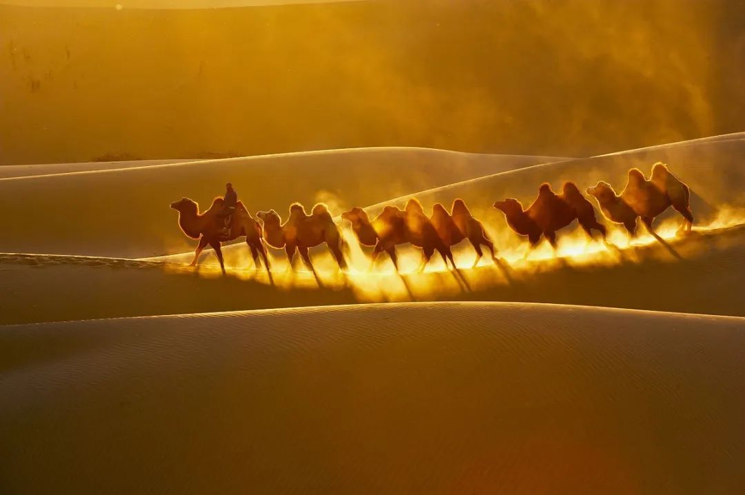 迪拜 沙子迎來全球暴漲！普通人的財富保衛(wèi)戰(zhàn)，才剛剛開始