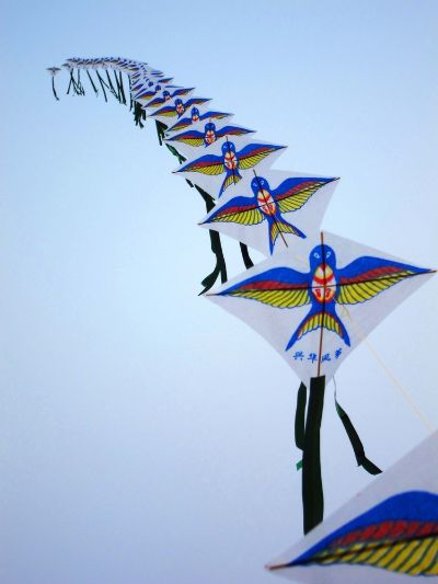 超级地球 一半永昼一半永夜的超级地球格利泽581g的生命是如何生存的？