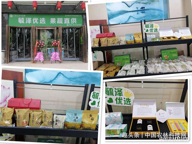 中国农林科技网 中国农林科技网“寻找优质农产品”,走进宁陕