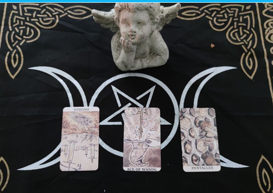 塔罗师塔娜|塔娜天秤座八月运势：热情转移异地带来不安 离开不能见光的暧昧