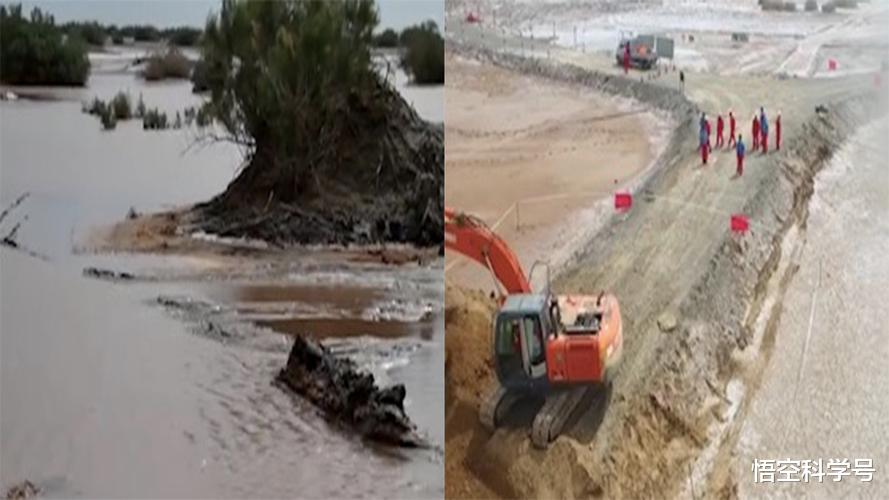 科学家 地球气候崩溃了怎么办？科学家指出：五个国家，或为最后避难所