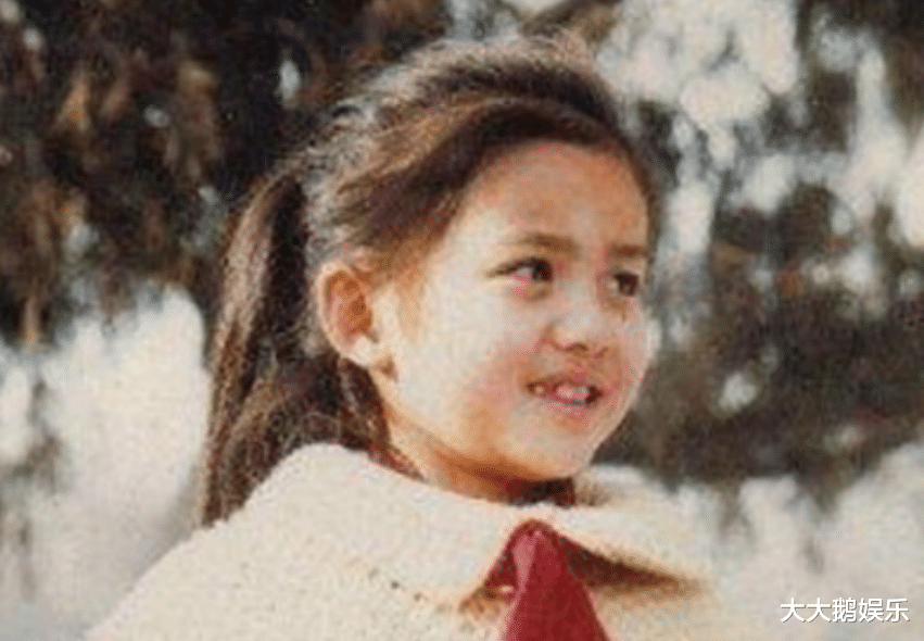 佟丽娅|佟丽娅和陈思诚婚变内幕，没你想的那么简单