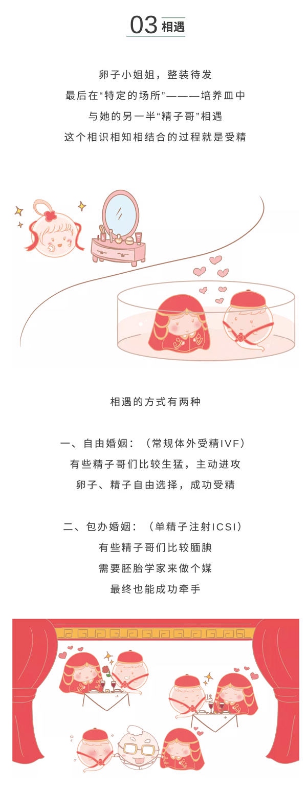 LOV好孕|来看看LOV生殖试管宝宝的前世今生