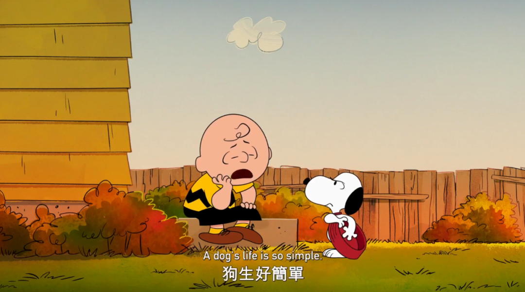 全球第一网红X的黑历史,被这9分片戳破了